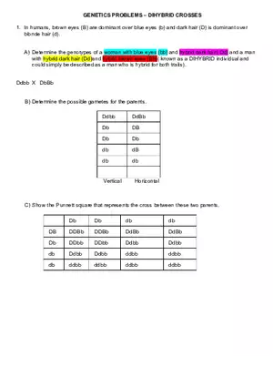 Genetics Problems – Dihybrid Crosses