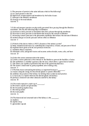 Urinary  System Review Questions