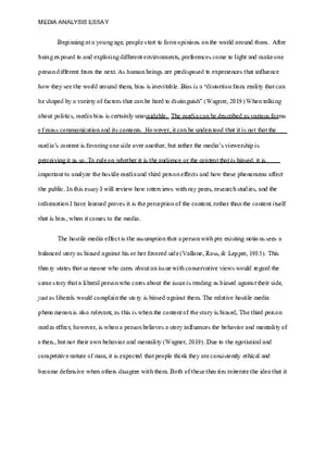Media Analysis Essay