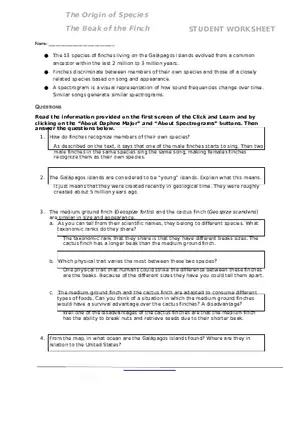 Finch Species Worksheet 2020