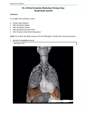 Real Anatomy Worksheet Answer Key Respiratory System