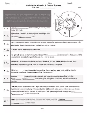 Cell Cycle, Mitosis and Cancer Review