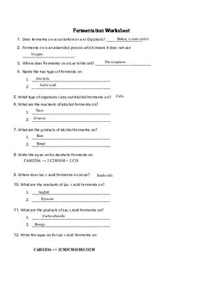 Fermentation Worksheet