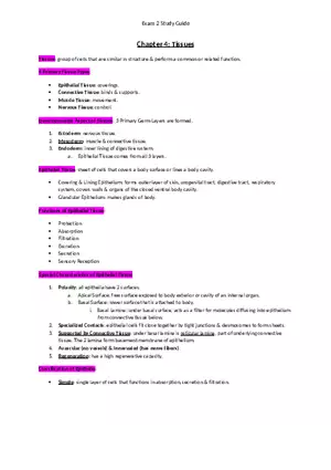 Exam 2 Study Guide Chapter 4 Tissues