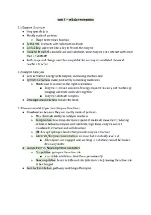 Unit 3 Cellular Energetics