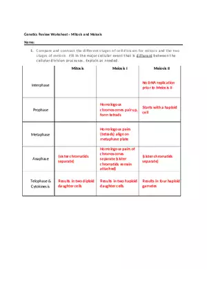 Genetics Review Worksheet Mitosis and Meiosis