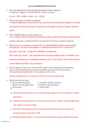 Cellular Respiration Questions