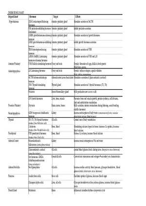 Endocrine Chart