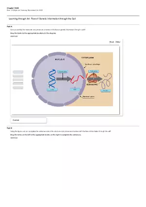Chapter 10-02 Homework