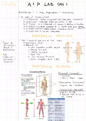 Exercise 1 - Body Organization and Terminology