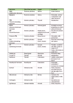 Endocrine Hormone Chart Guide