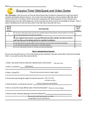 Enzymes Webquest Answer Key