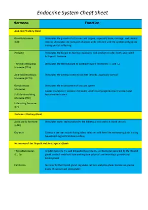 Endocrine System Cheat Sheet