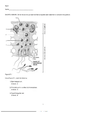 Mammalian Physiology Exam Ch.27
