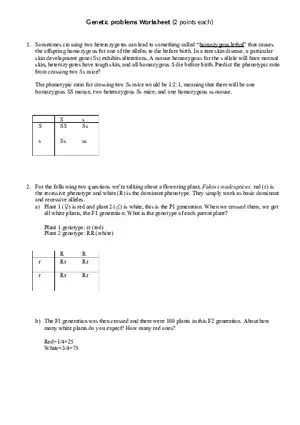 Genetic Problems Worksheet