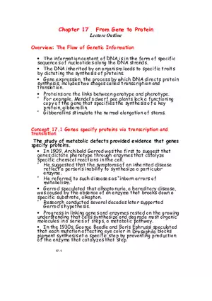 Chapter 17 From Gene to Protein Lecture Note