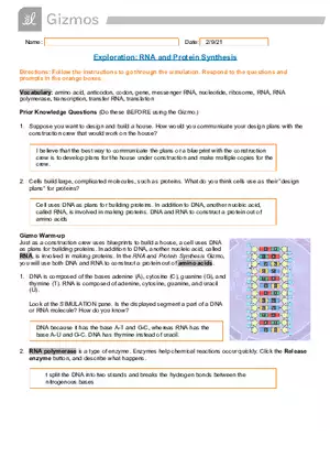 Exploration RNA and Protein Synthesis