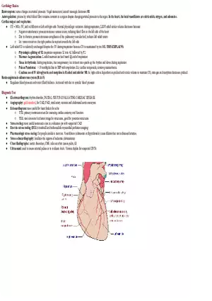 Cardiology Notes
