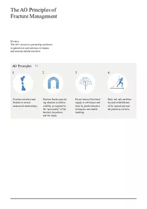 Femoral Neck System The AO Principles of Fracture Management
