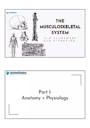 The Musculoskeletal System Notes
