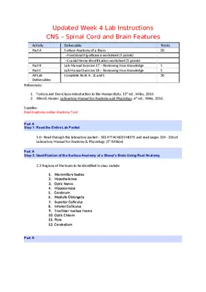 CNS Lab – Spinal Cord and Brain Features