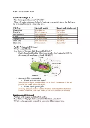Cells Alive Worksheet