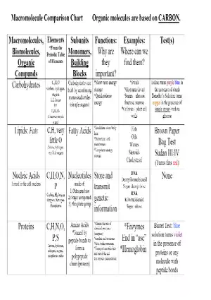 Macromolecule Comparison Chart