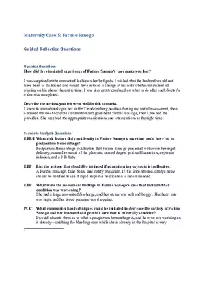 Maternity Case 5 Fatime Sanogo Opening Questions