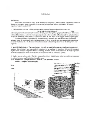 Lab Cell Size
