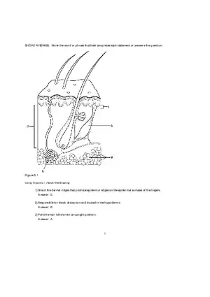 Components of Photosystems Answer Key