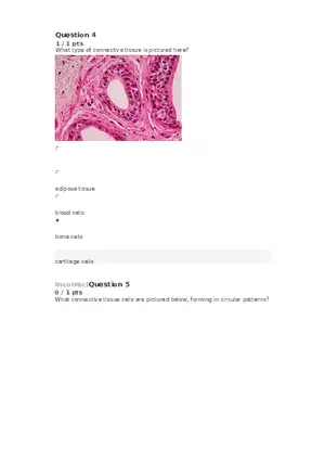 Cell Membrane to Cardiovascular System Quiz Part 5