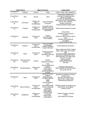 Cranial Nerve Chart