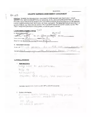 Example Holistic Nursing Assessment