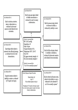 Concept Map Spinal Cord Injury
