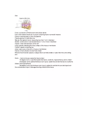 Unit 5 Review - Skin