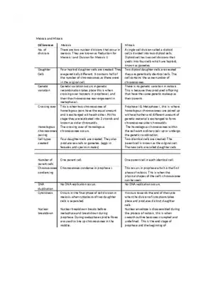 Meiosis and Mitosis Biology Assignment