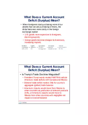 What Does a Current Account Deficit (Surplus) Mean Lecture
