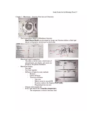 Study Guide for Cell Biology Final Part 3