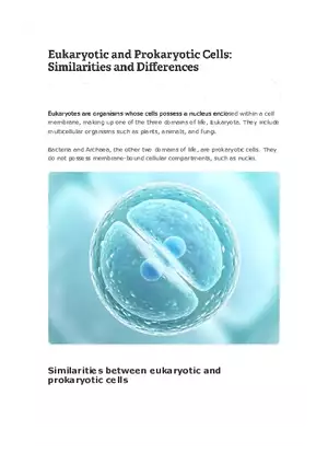 Eukaryotic and Prokaryotic Cells Similarities and Differences