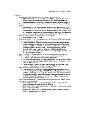 Study Guide for Cell Biology Final Part 11