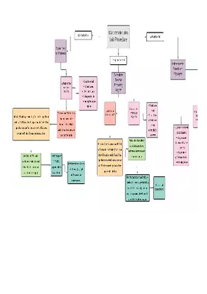 Macromolecules - Flowchart for Experiment