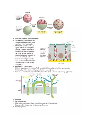 Introduction of Cell, Cell Theory and History Chapter 2 Part 2