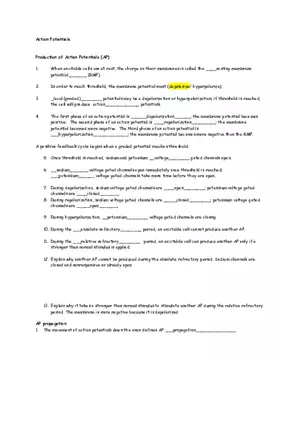 Production of Action Potentials Worksheet