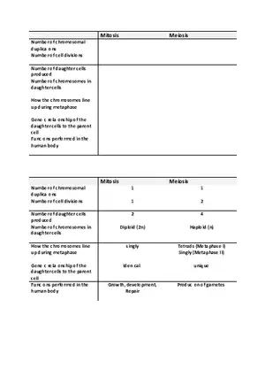 Mitosis Meiosis Table