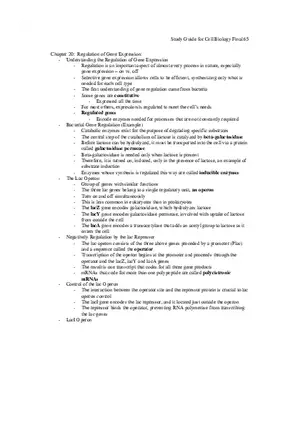 Study Guide for Cell Biology Final Part 6