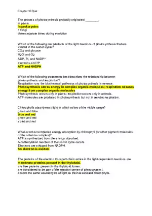 Photosynthesis Chapter 10 Quiz Key