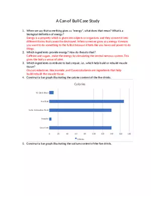 A Can of Bull Case Study - A Lab