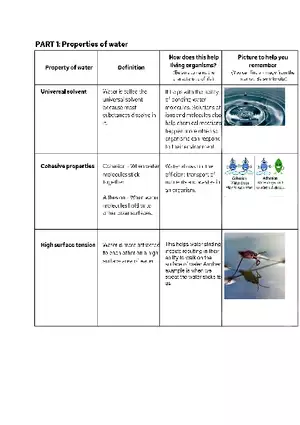 Properties of Water Graphic Organizer
