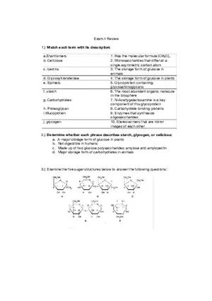 Test 2 Review - Biochemistry Enantiomers