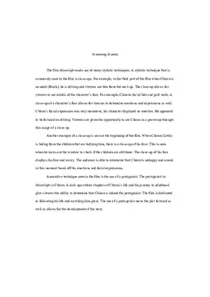 Moonlight Screening Journal